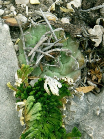 PICT0356