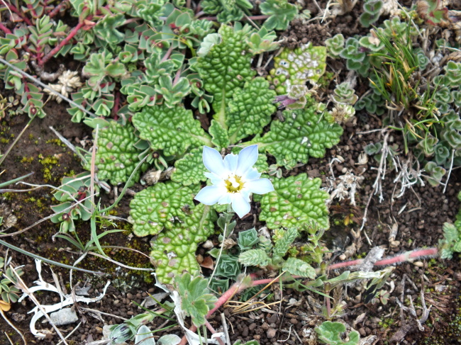 DSCF2957