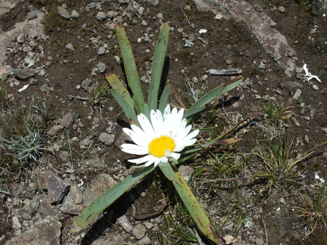 DSCF3307