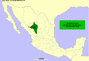 stelladetcubaya-mapa.gif